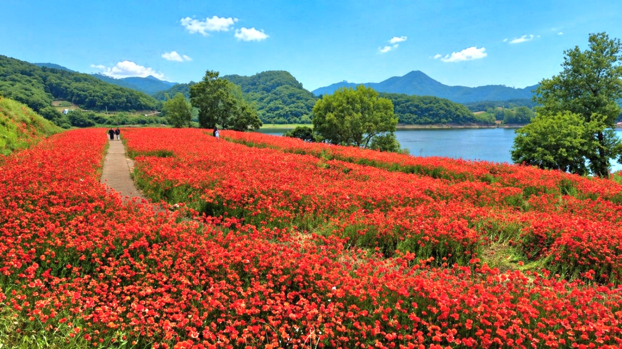 사용자가 올린 이미지