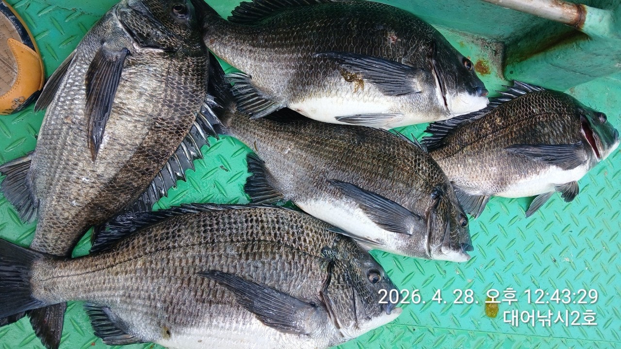 ����ڰ� �ø� �̹���