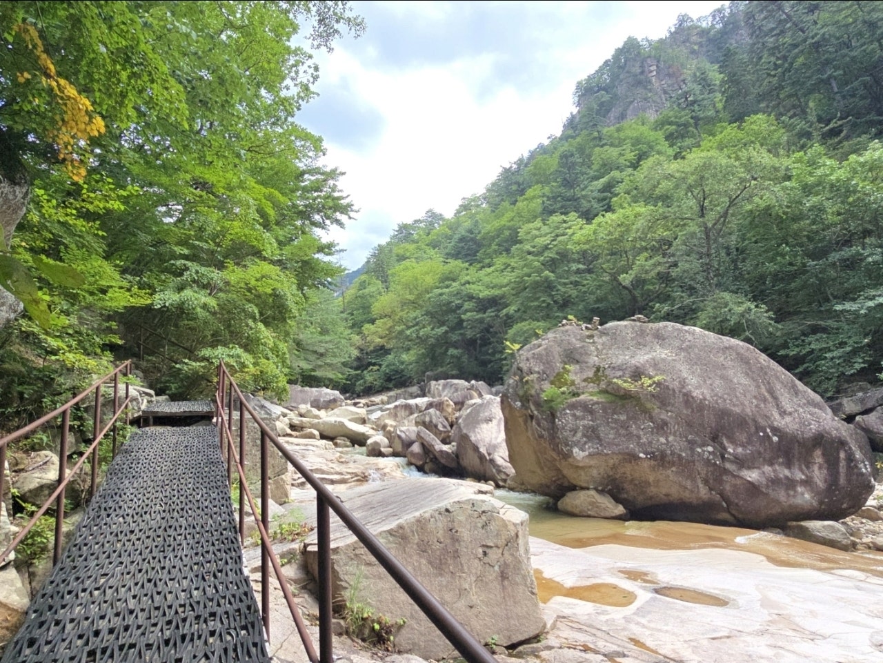 사용자가 올린 이미지