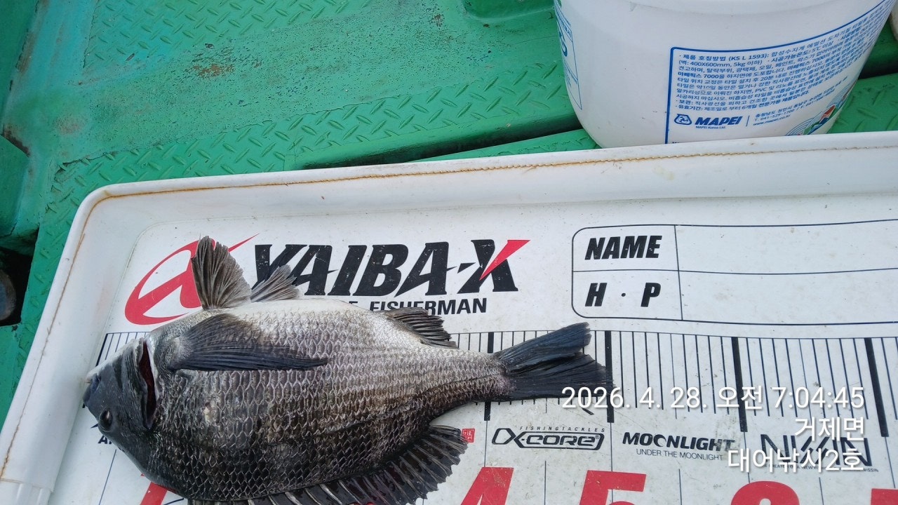 ����ڰ� �ø� �̹���