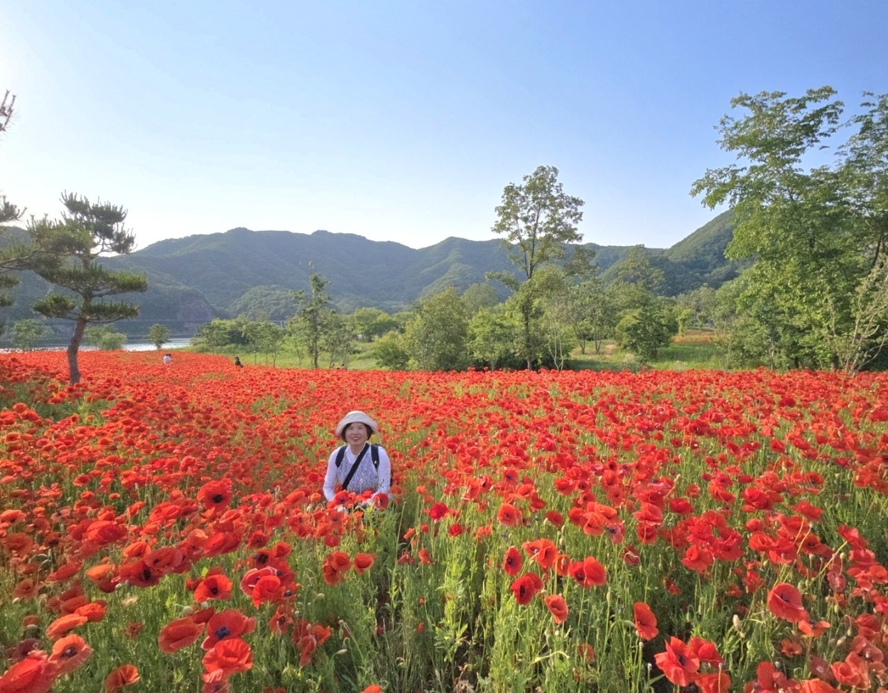 사용자가 올린 이미지