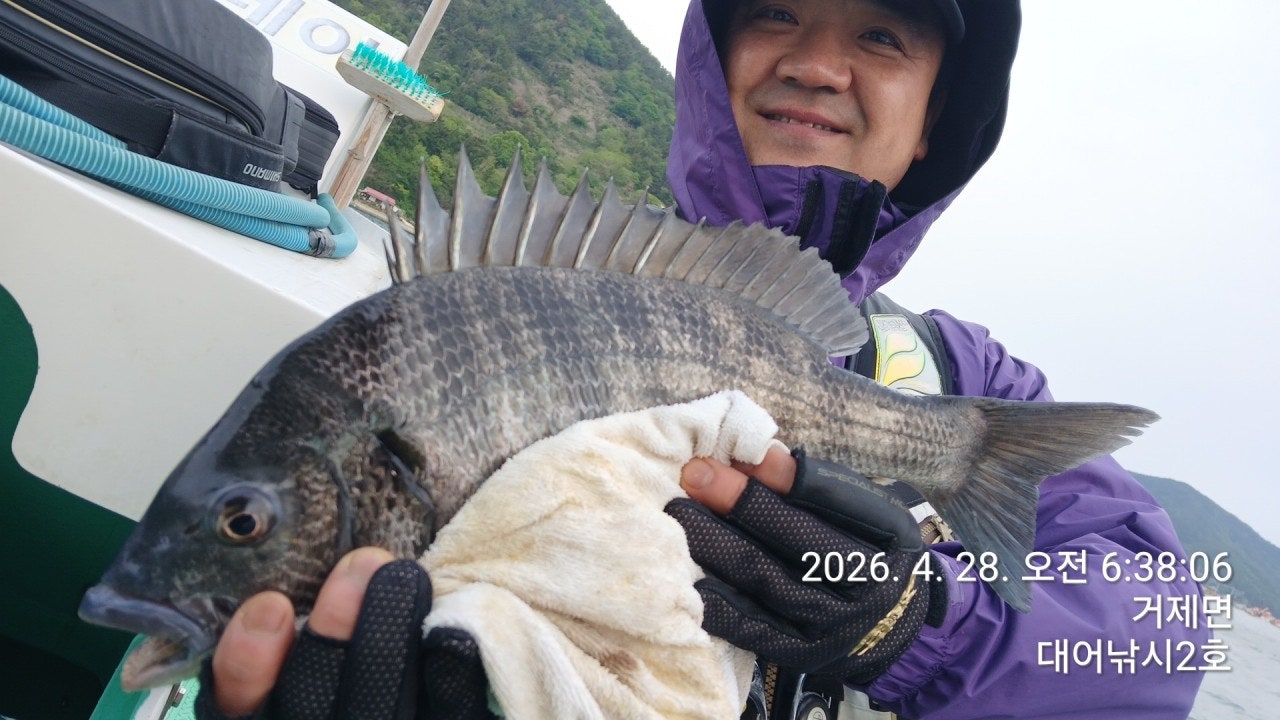 ����ڰ� �ø� �̹���