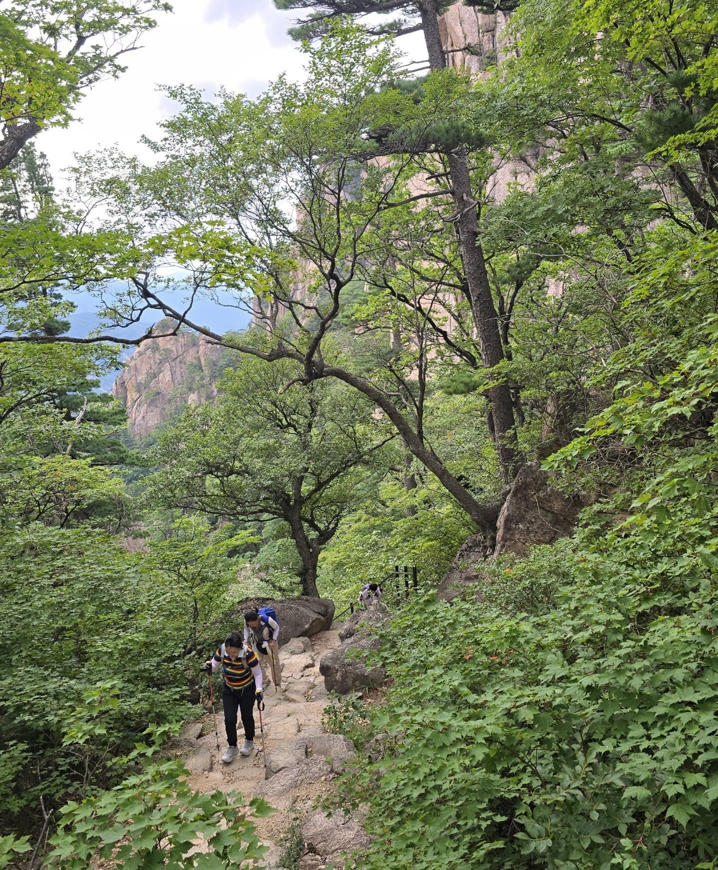 사용자가 올린 이미지