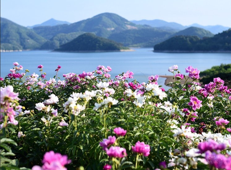 사용자가 올린 이미지