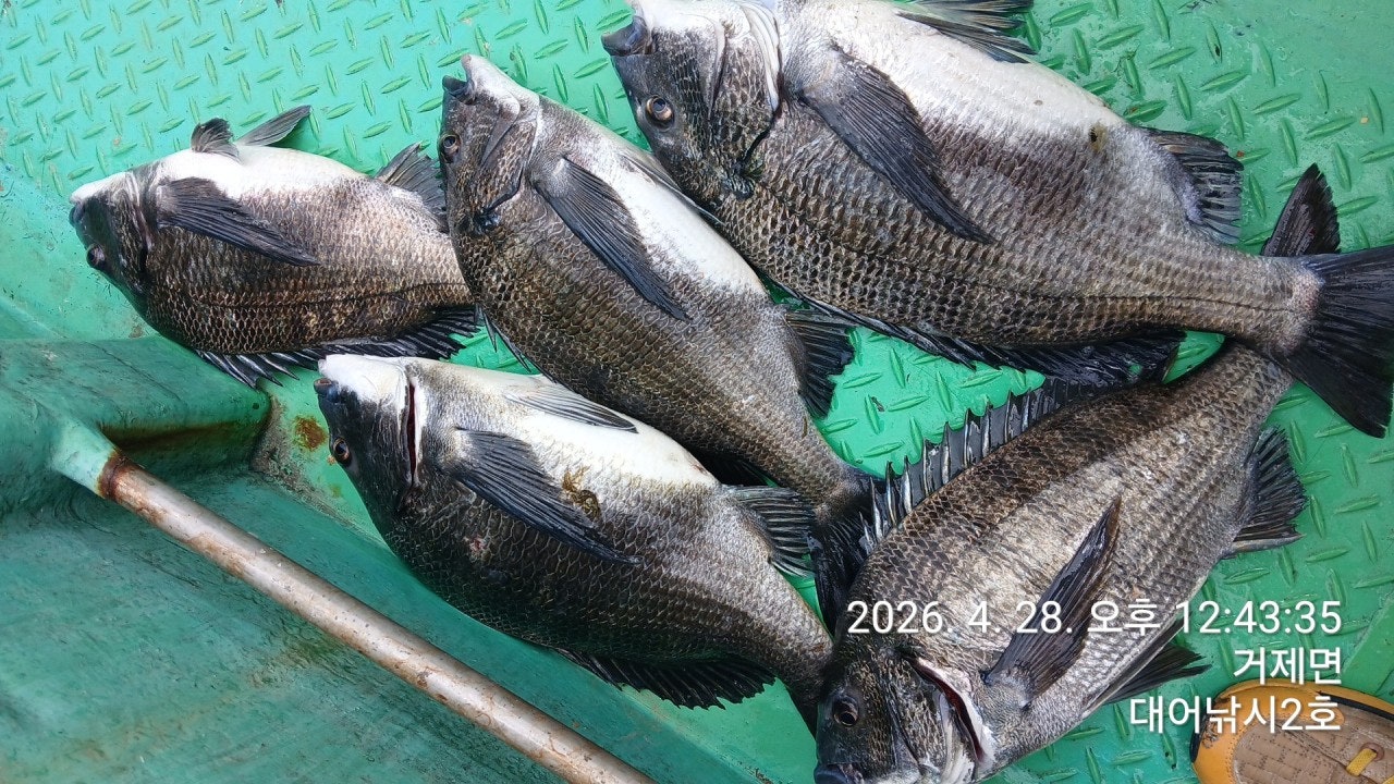 ����ڰ� �ø� �̹���