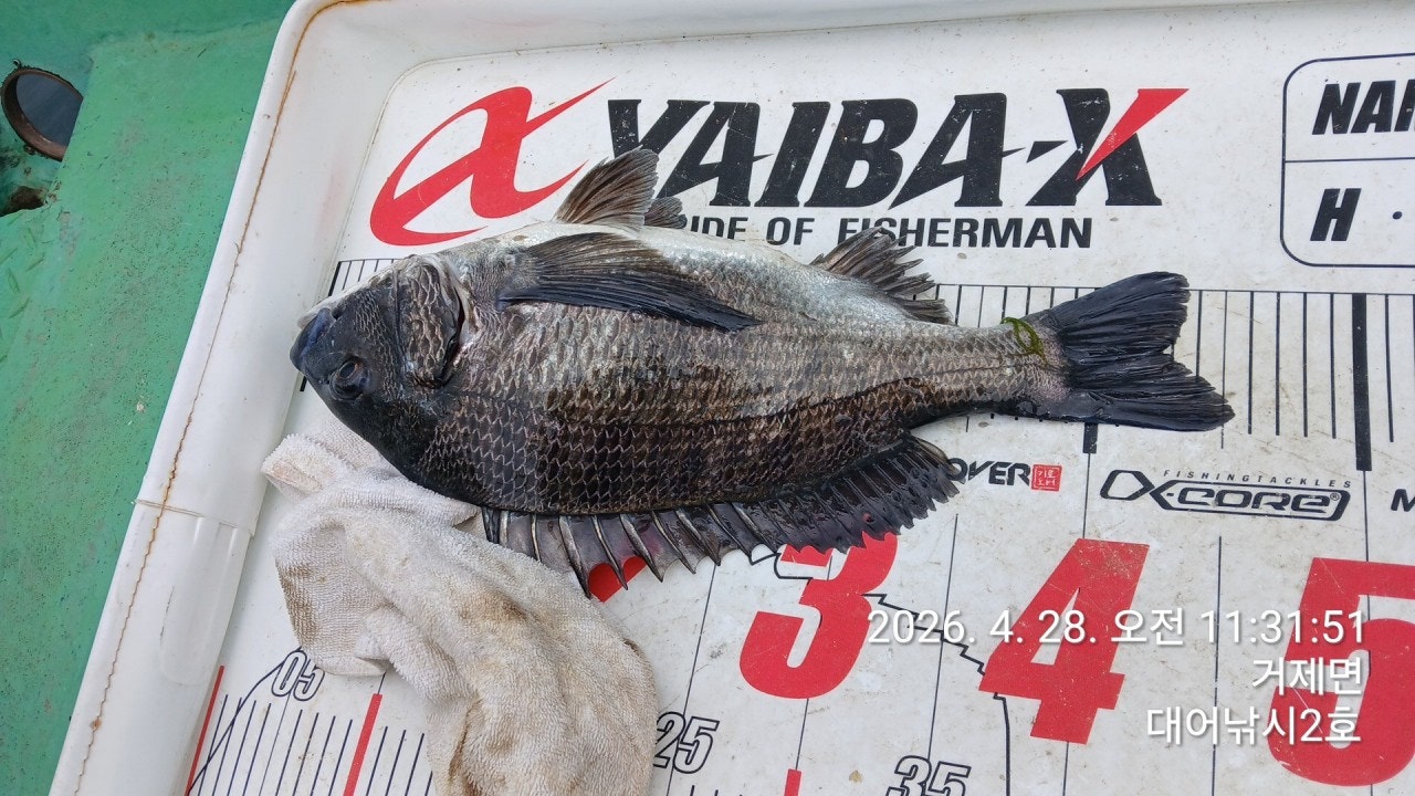 ����ڰ� �ø� �̹���