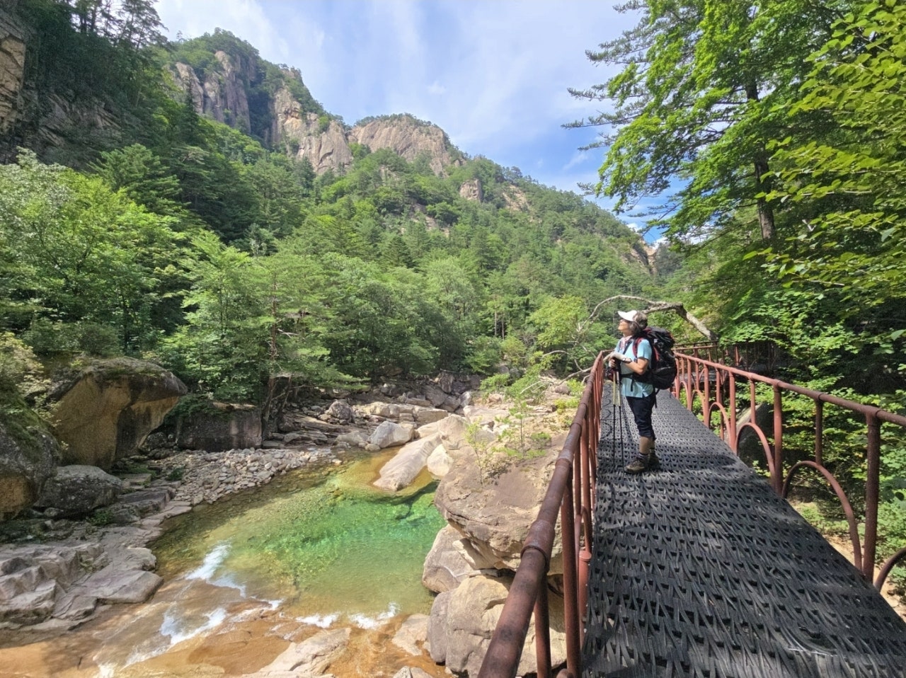 사용자가 올린 이미지