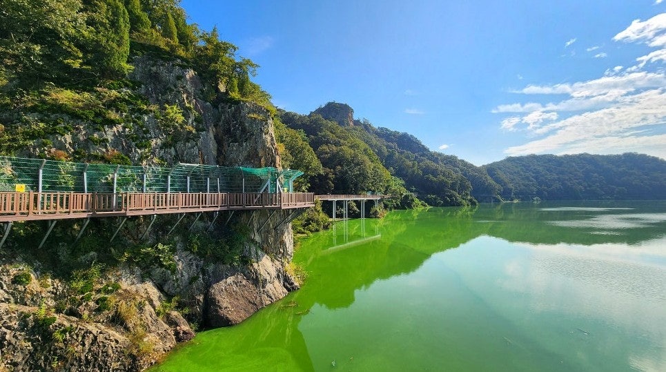 사용자가 올린 이미지