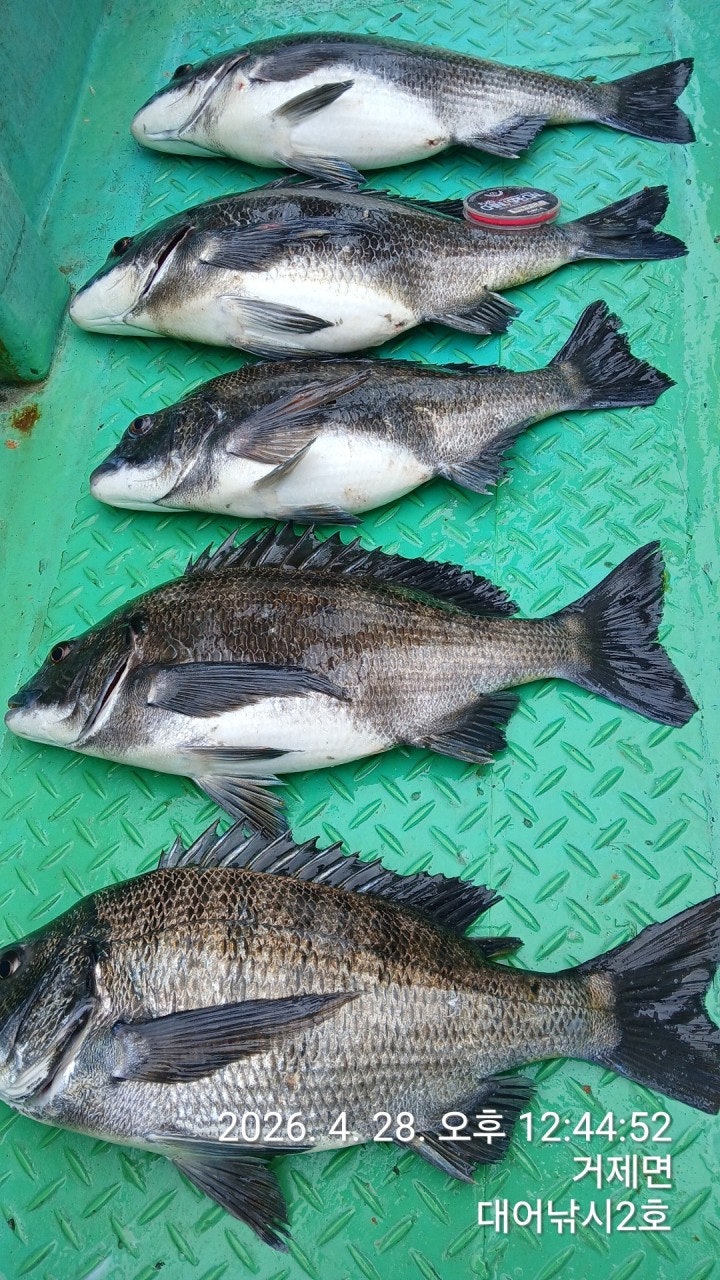 ����ڰ� �ø� �̹���