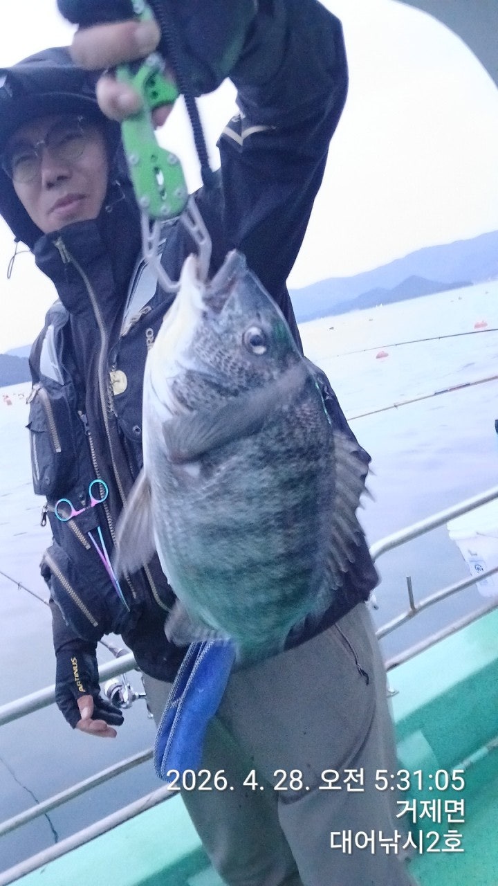 ����ڰ� �ø� �̹���