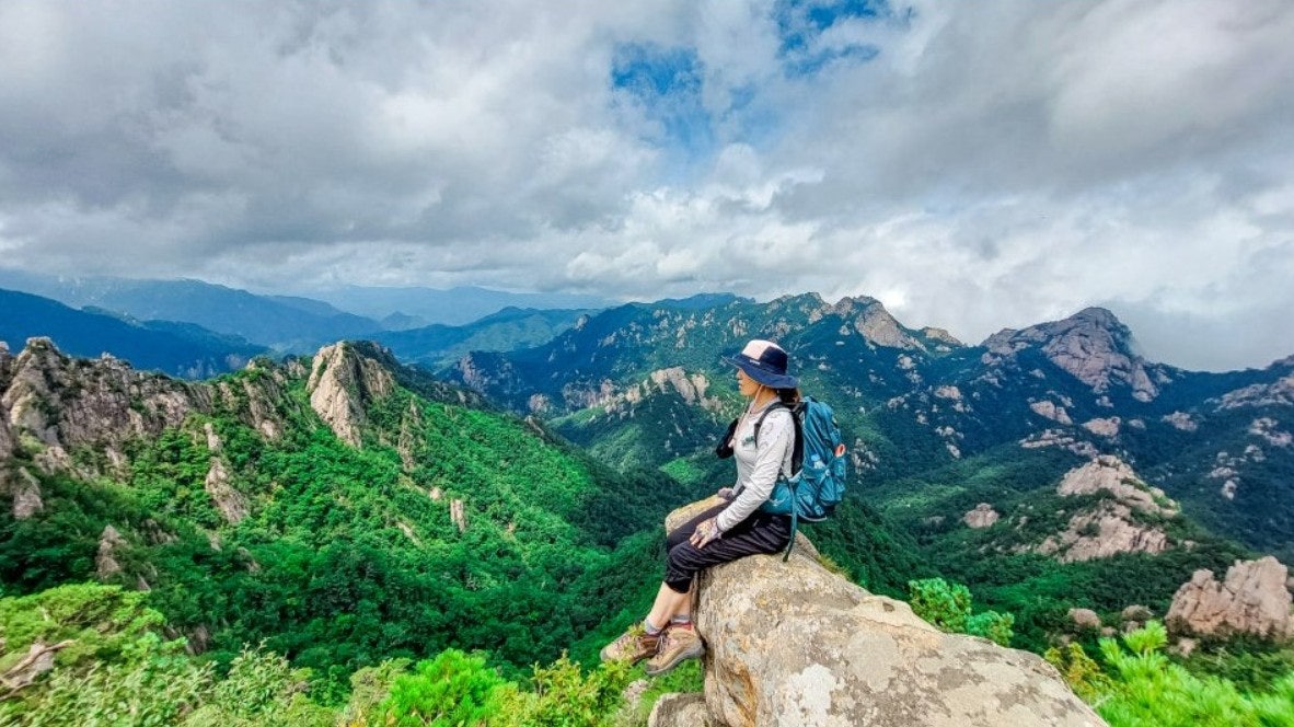 사용자가 올린 이미지