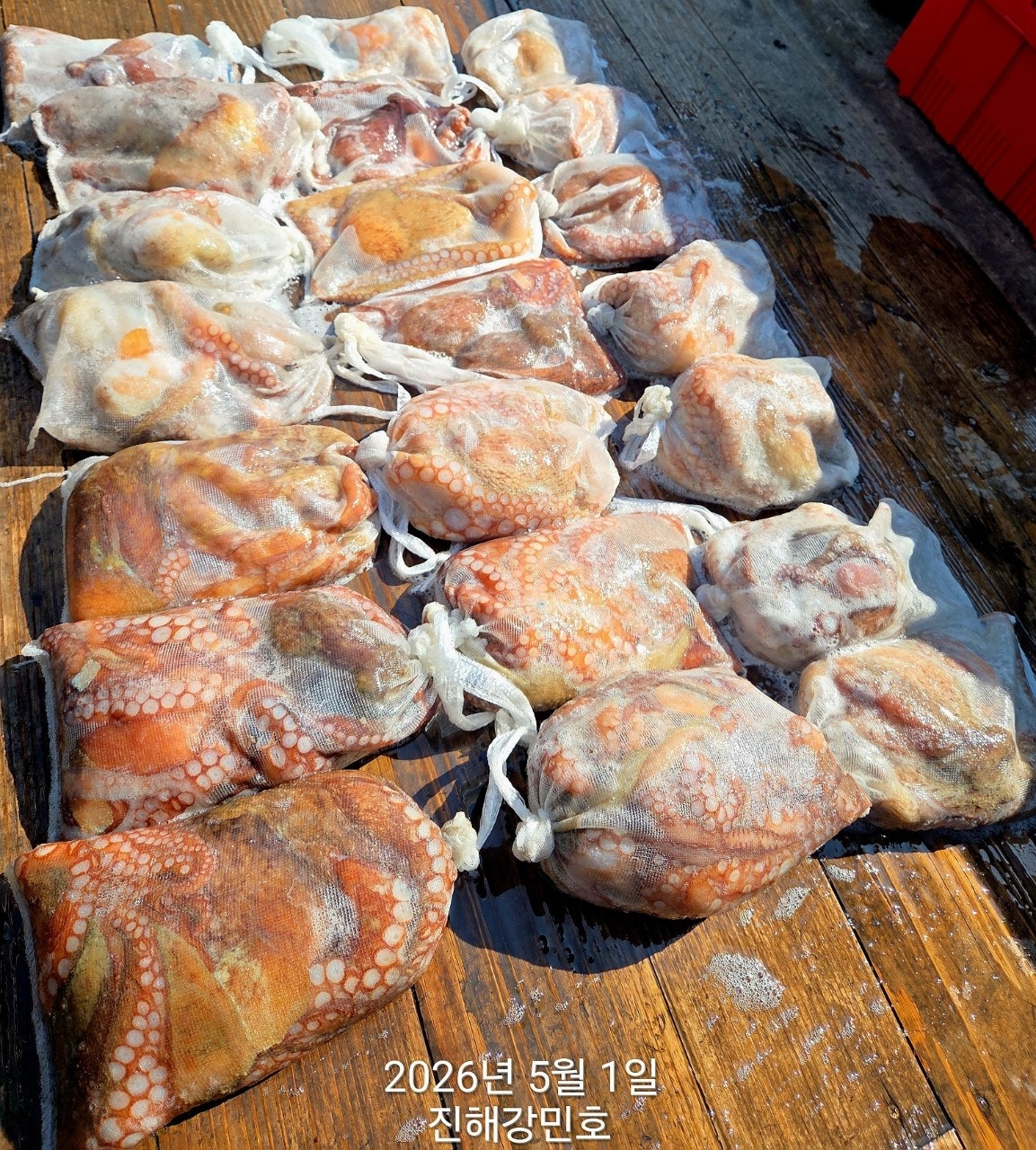 ����ڰ� �ø� �̹���