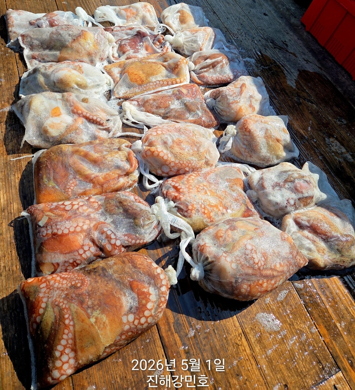 ����ڰ� �ø� �̹���