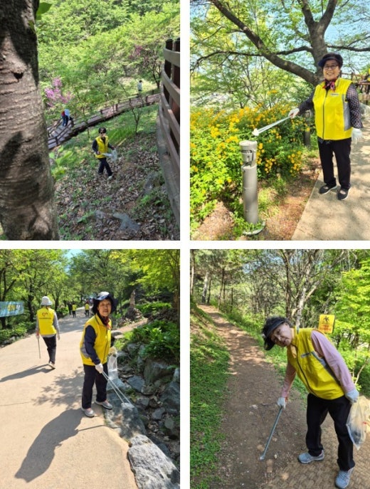 사진
