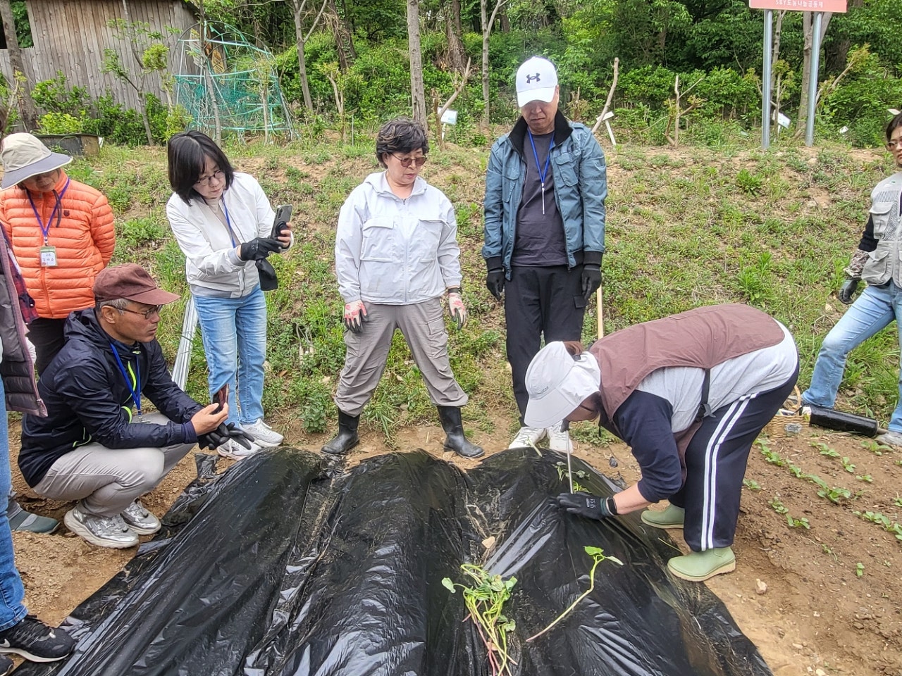 사용자가 올린 이미지