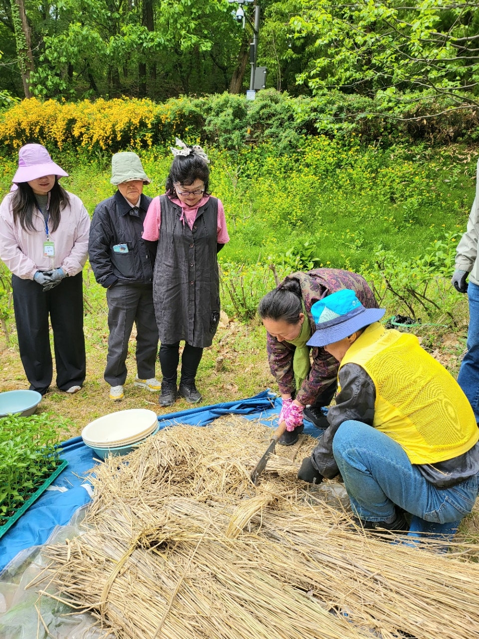 사용자가 올린 이미지