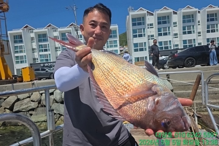 ����ڰ� �ø� �̹���