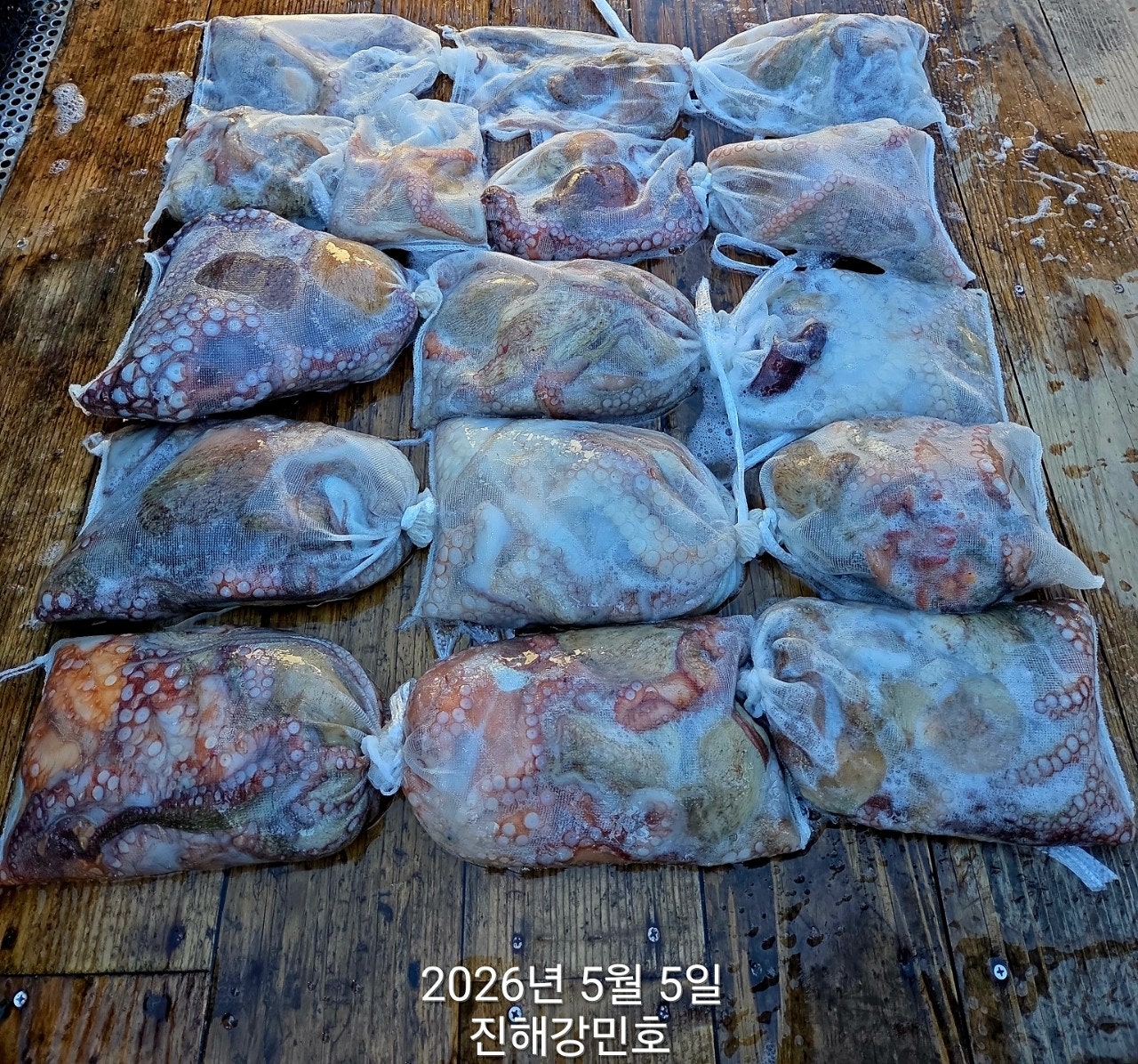 ����ڰ� �ø� �̹���
