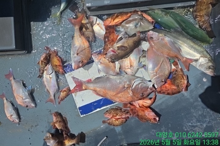 ����ڰ� �ø� �̹���