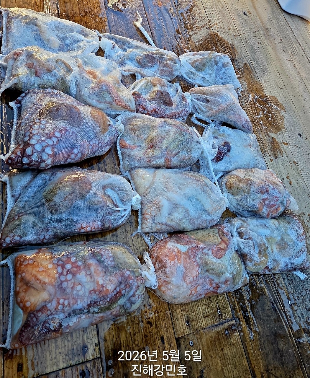 ����ڰ� �ø� �̹���