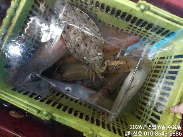 ����ڰ� �ø� �̹���