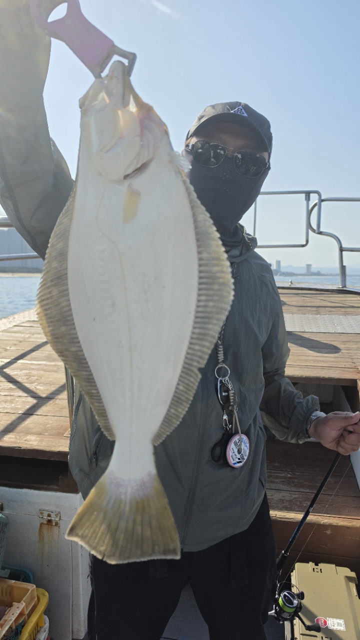 band images