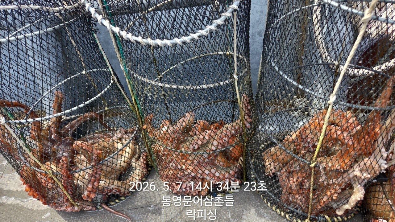 ����ڰ� �ø� �̹���