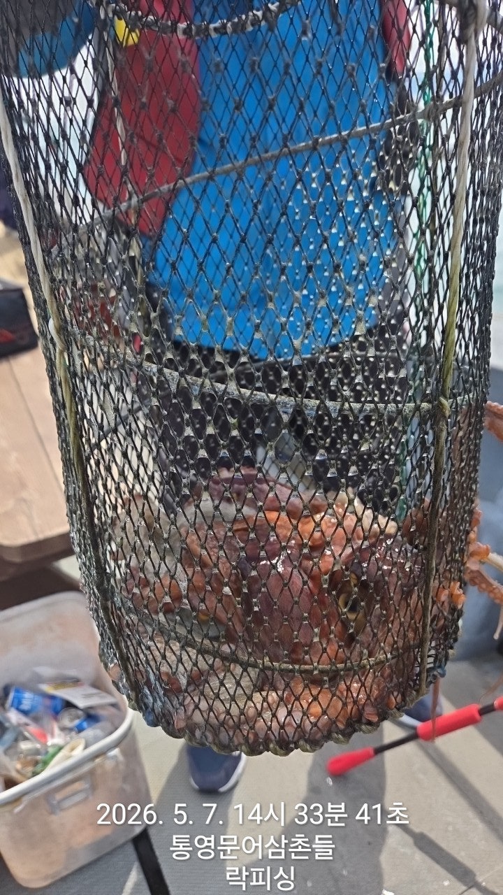 ����ڰ� �ø� �̹���