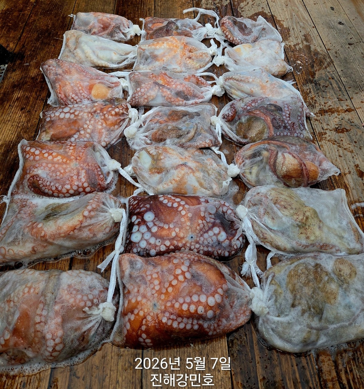 ����ڰ� �ø� �̹���