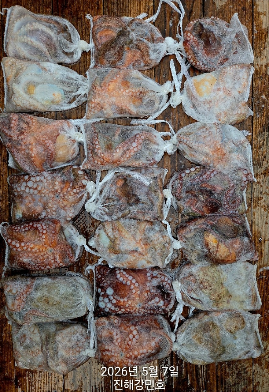 ����ڰ� �ø� �̹���