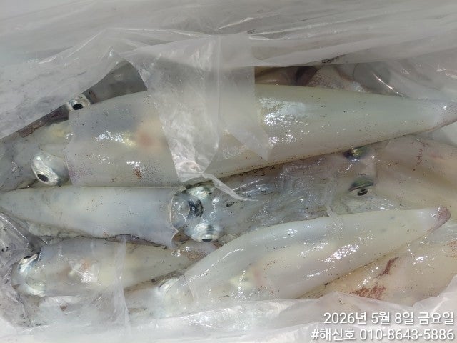 ����ڰ� �ø� �̹���