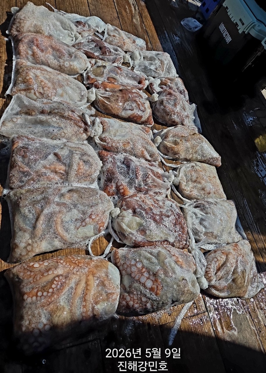 ����ڰ� �ø� �̹���