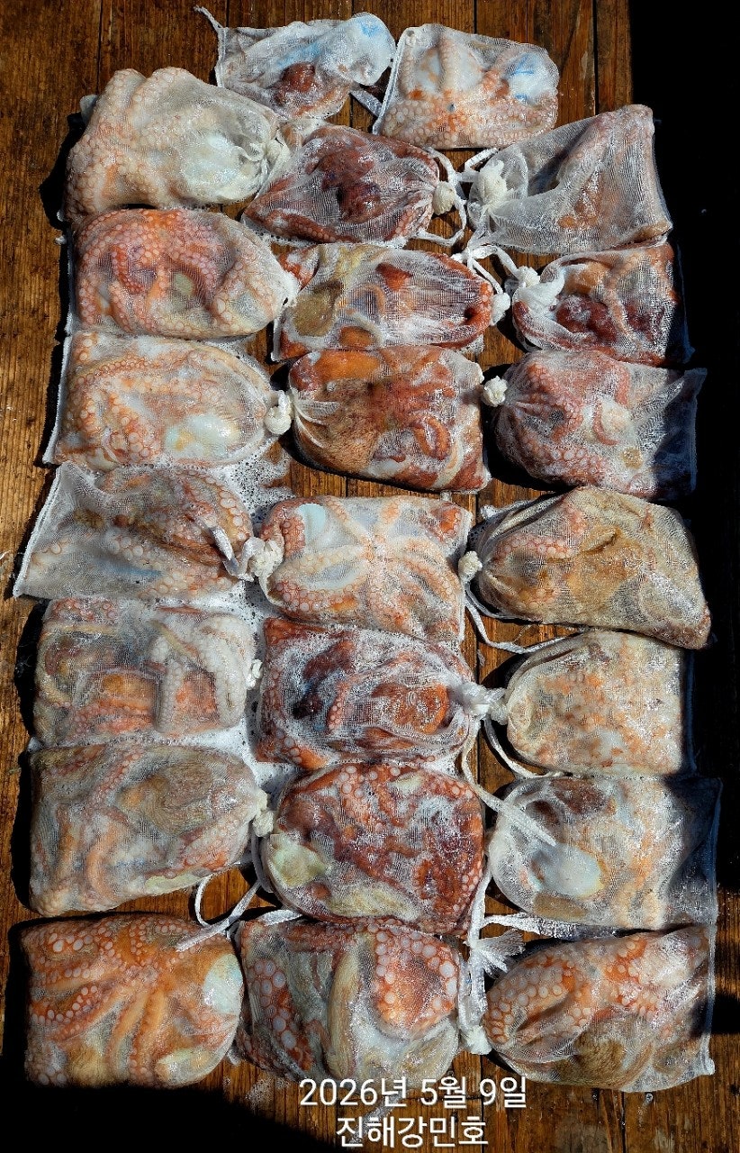 ����ڰ� �ø� �̹���