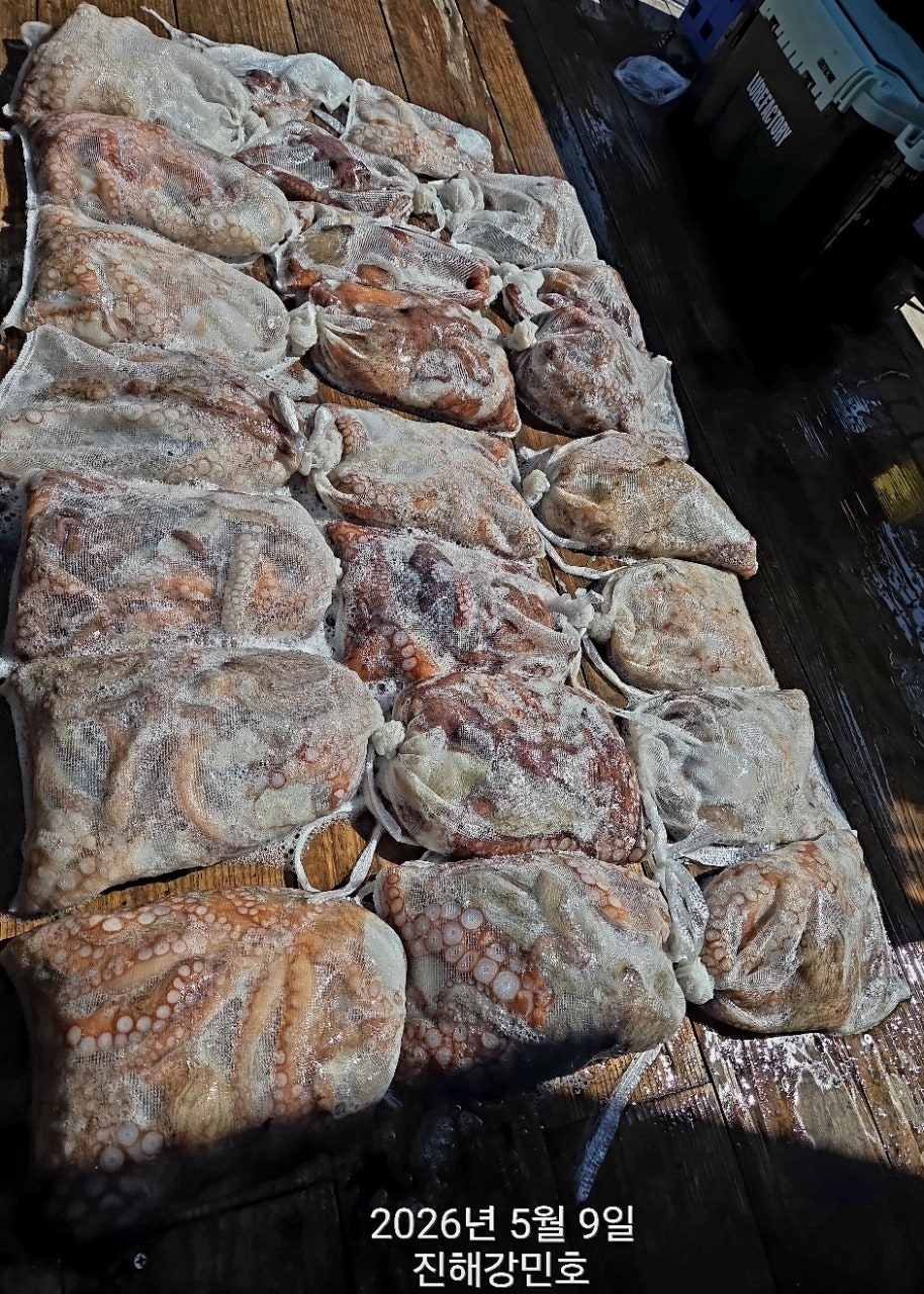 ����ڰ� �ø� �̹���