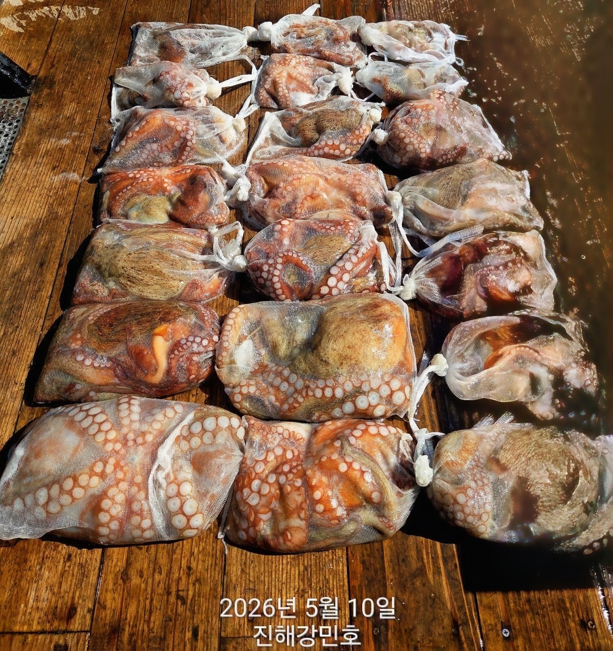 ����ڰ� �ø� �̹���