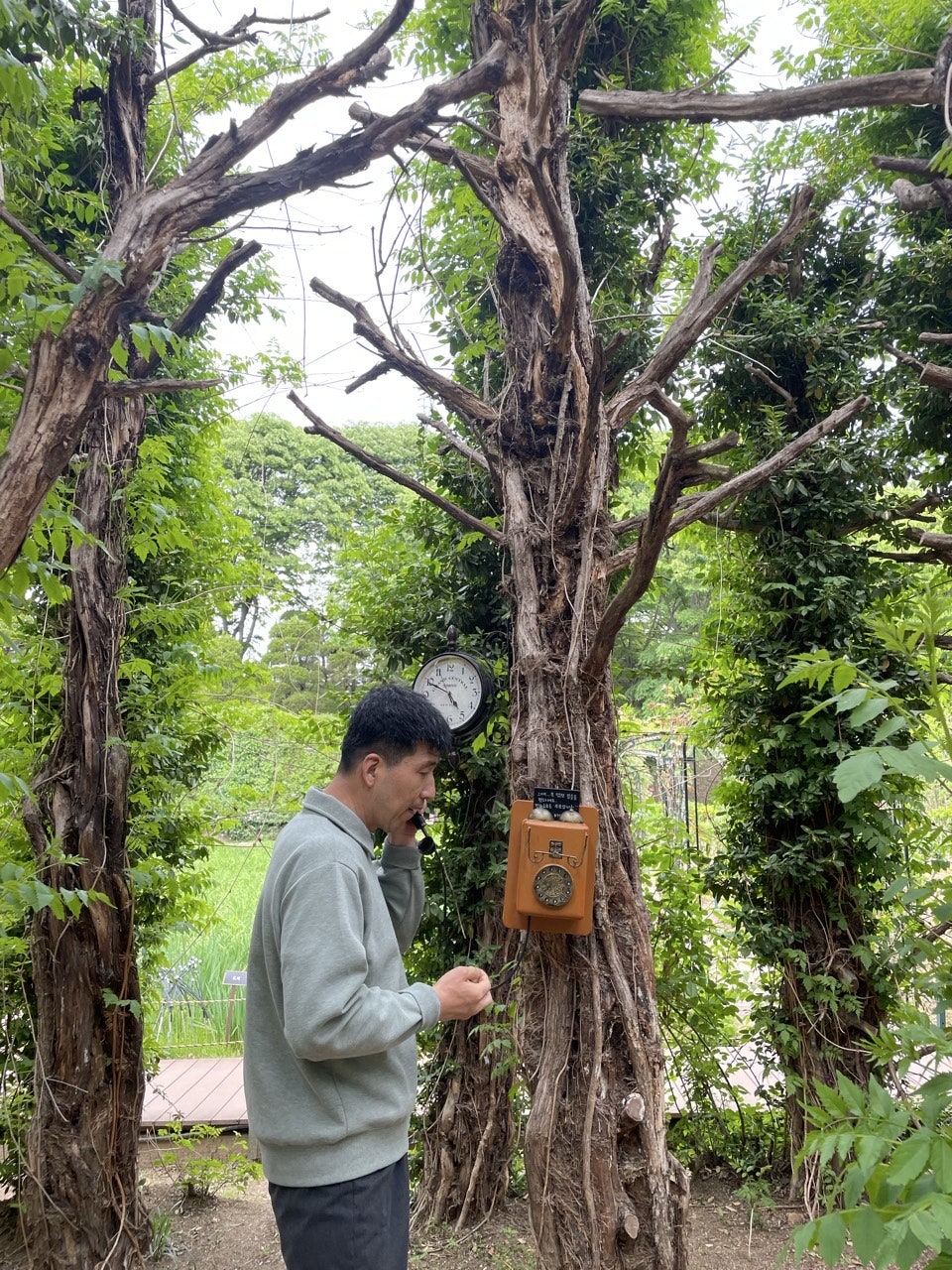 사용자가 올린 이미지