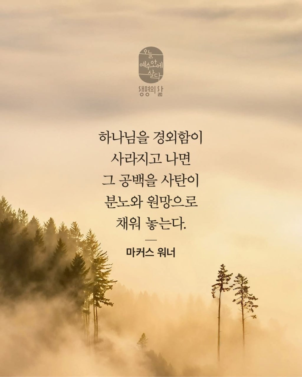 ����ڰ� �ø� �̹���