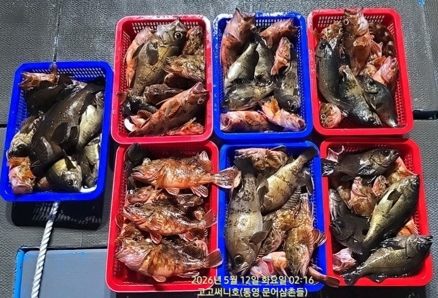 ����ڰ� �ø� �̹���