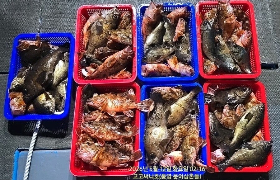 ����ڰ� �ø� �̹���