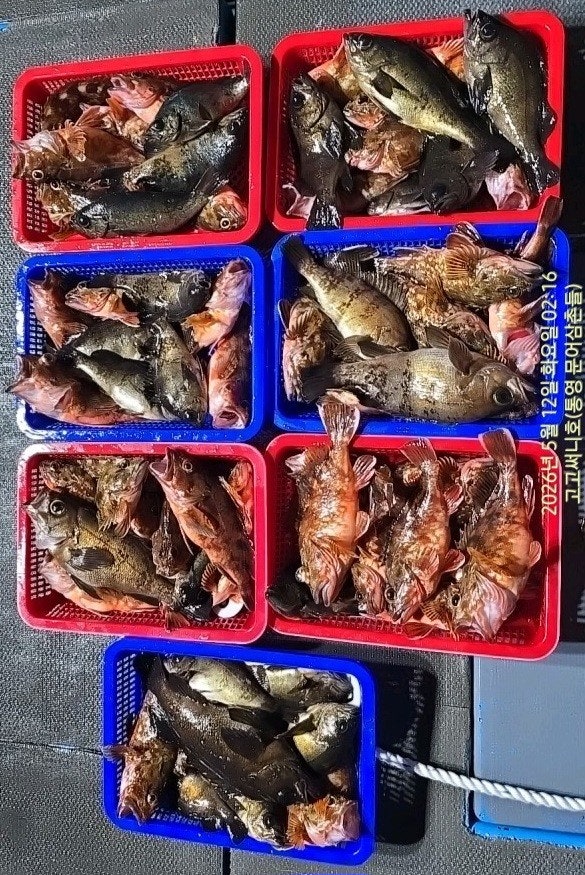 ����ڰ� �ø� �̹���