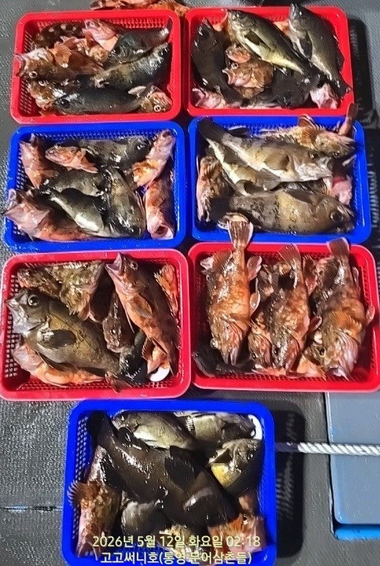 ����ڰ� �ø� �̹���