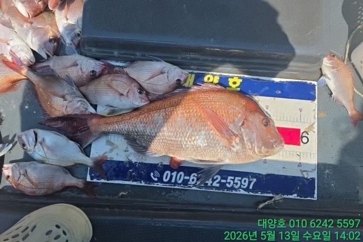 ����ڰ� �ø� �̹���