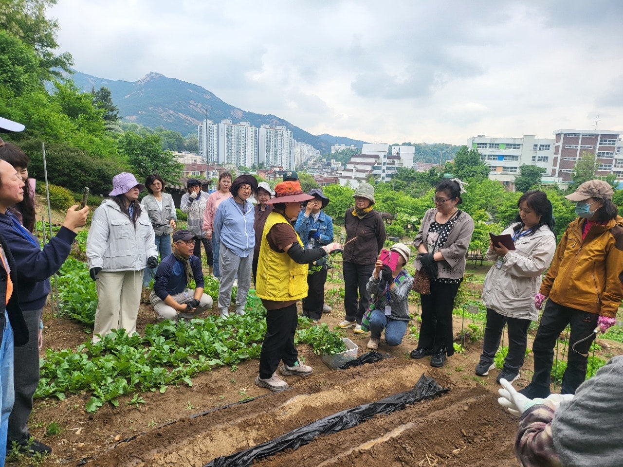 사용자가 올린 이미지