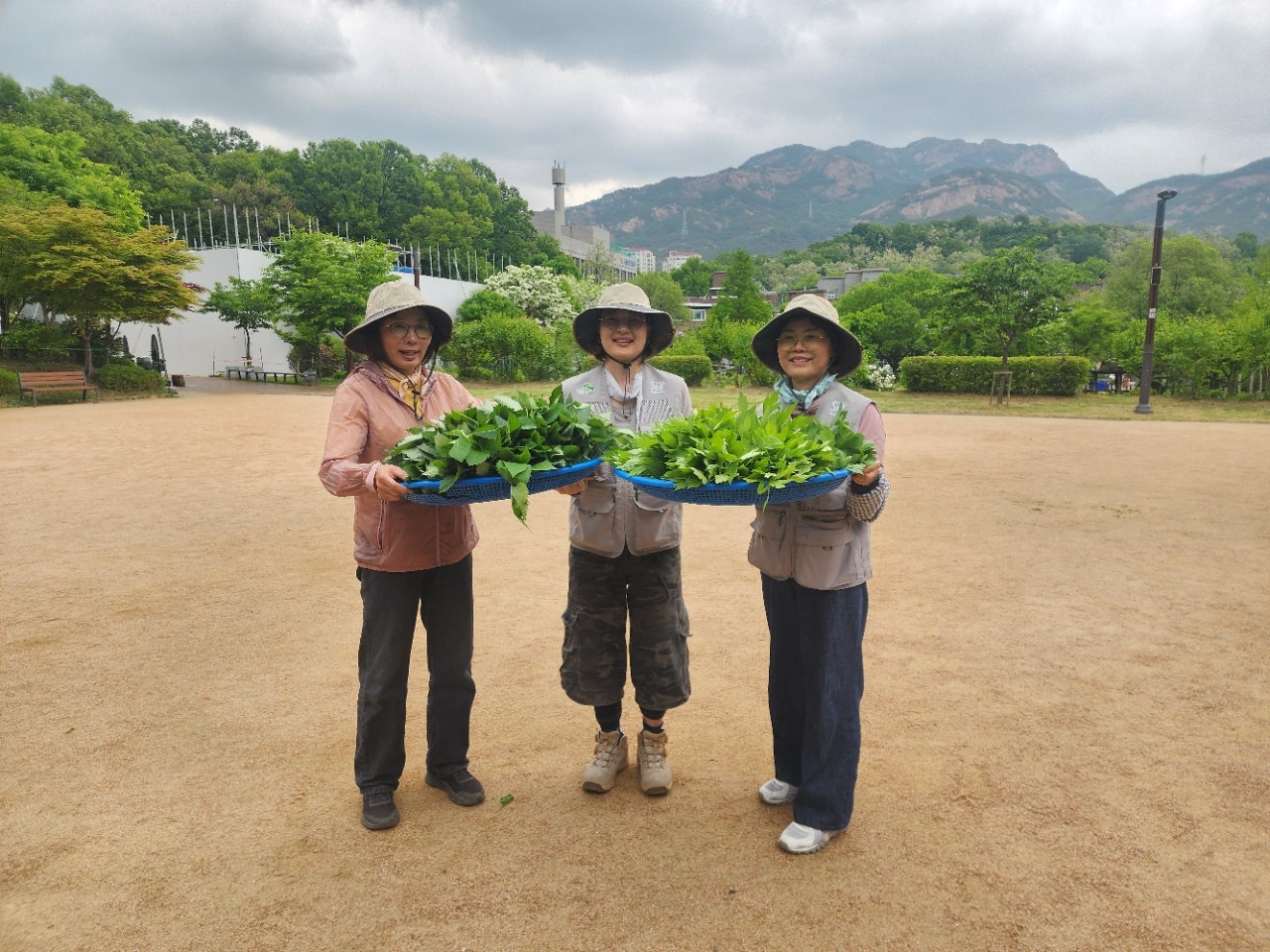 사용자가 올린 이미지