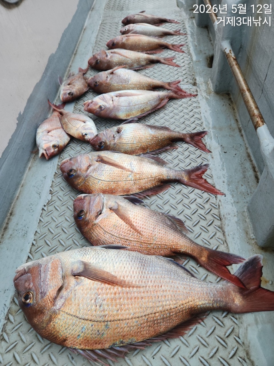����ڰ� �ø� �̹���
