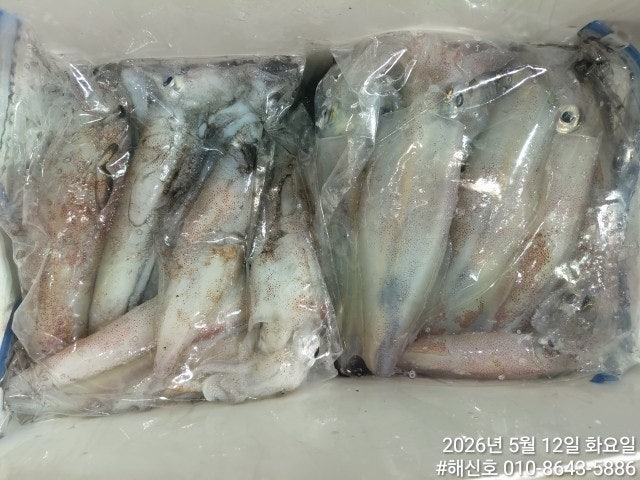 ����ڰ� �ø� �̹���