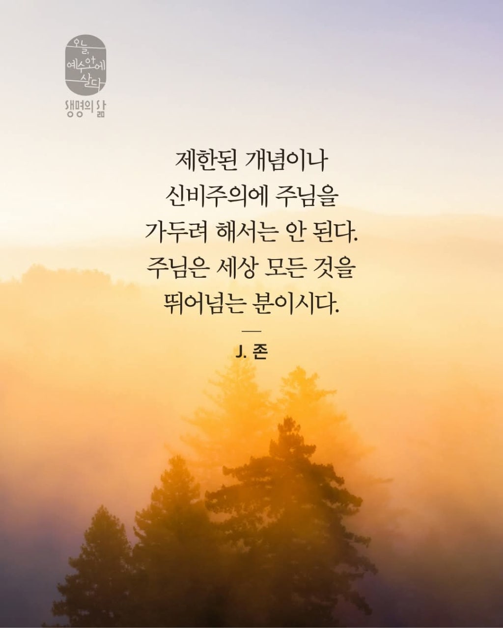 ����ڰ� �ø� �̹���