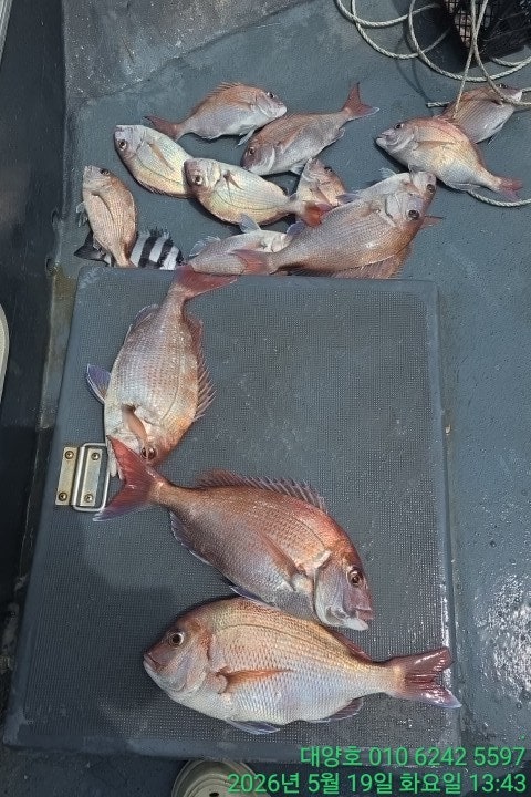 ����ڰ� �ø� �̹���