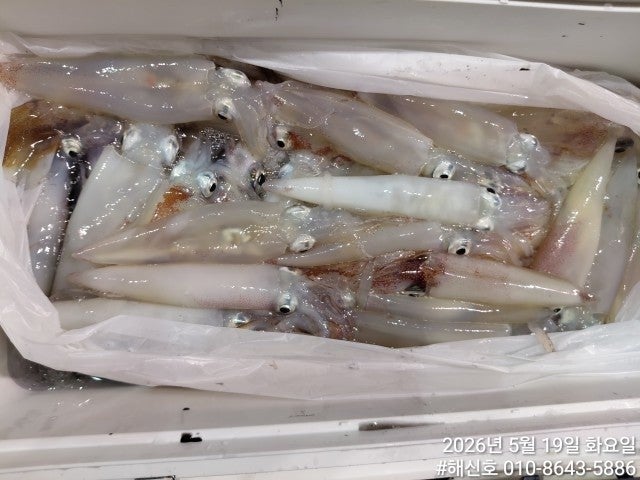 ����ڰ� �ø� �̹���