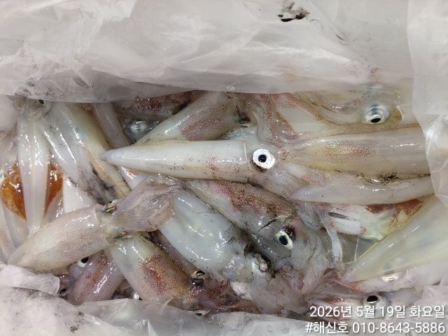 ����ڰ� �ø� �̹���